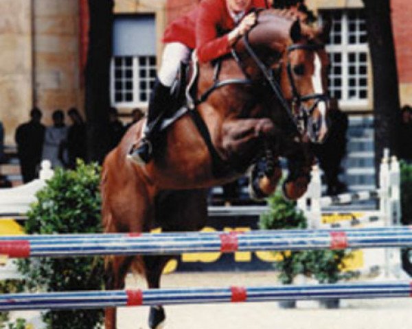 horse Griseldi (Hessian Warmblood, 1992, from Grosso Z)
