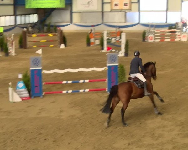 Reitturnier Buchs 2022