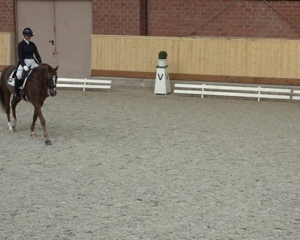 Reitturnier Hamburg-Friedrichshulde/Sylva Kuhrt 2022