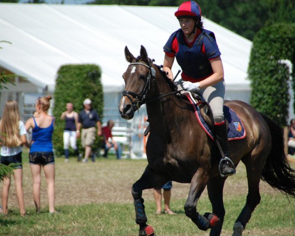 broodmare Bella Fiore (Oldenburg, 1998, from Rouletto)