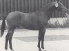 stallion Rhodos (Westphalian, 1974, from Remus I)