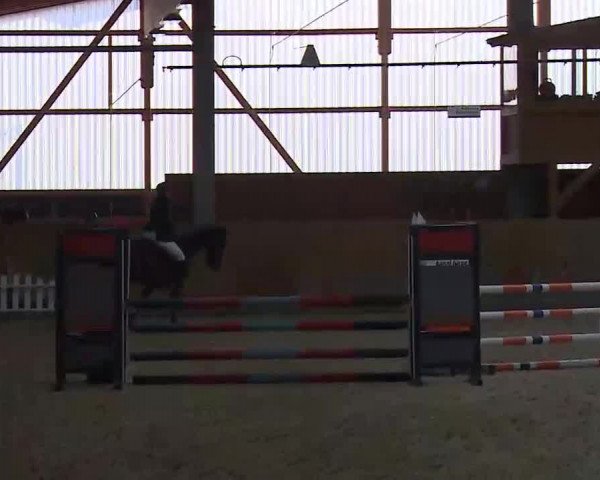Reitturnier Grafenrheinfeld/Ufr. 2022