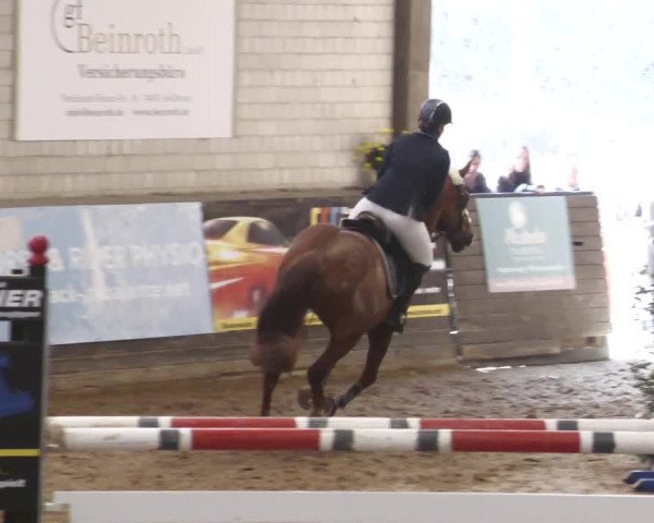 Reitturnier Heilbronn 2022