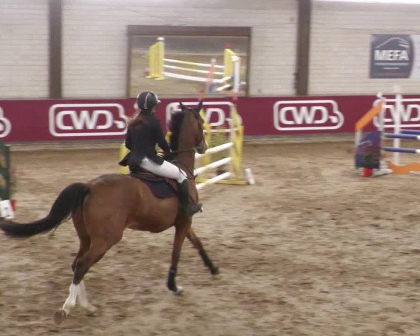 Reitturnier Heilbronn 2022