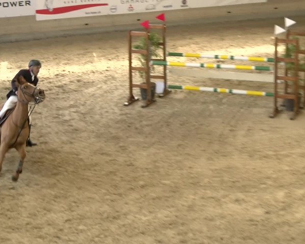 Reitturnier Schaffhausen 2022