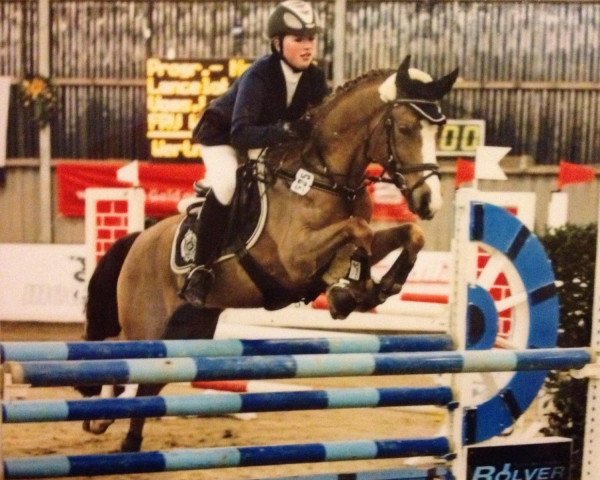 jumper Lancelot 321 (German Riding Pony, 1997, from Lucky Strike)