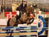 Springpferd Lancelot 321 (Deutsches Reitpony, 1997, von Lucky Strike)