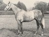 stallion Anatol xx (Thoroughbred, 1960, from Abernant xx)