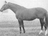 stallion Enfant Terrible xx (Thoroughbred, 1957, from Precipitation xx)