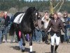 stallion Lionell (Holsteiner, 1992, from Leonid)