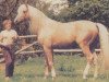 horse Husar hrádecký (Czech Warmblood, 1970, from Husar)