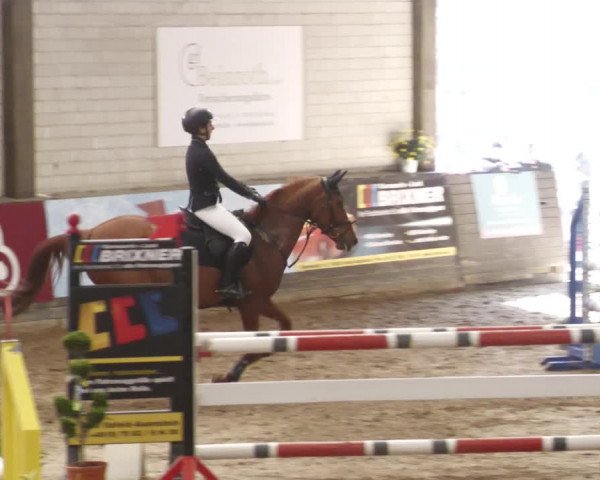 Reitturnier Heilbronn 2022