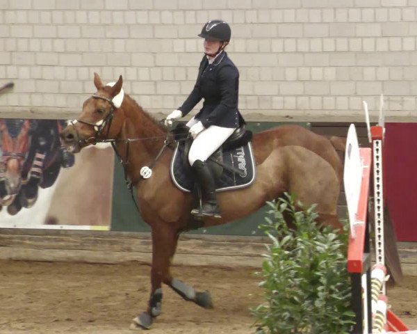 Reitturnier Heilbronn 2022