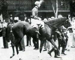 stallion Téléférique xx (Thoroughbred, 1934, from Bacteriophage xx)