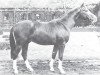 stallion Waldersee (Hanoverian, 1975, from Waldmeister)