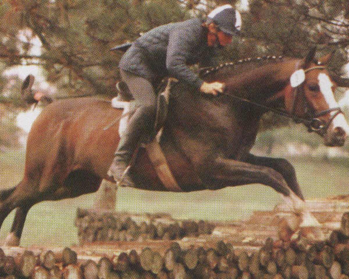 stallion Armani (Hanoverian, 1983, from Artwig)