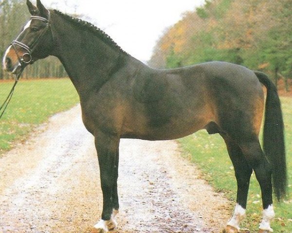 stallion Ramon Navaro 57 FIN (ex. Rapport) (Westphalian, 1978, from Regress)