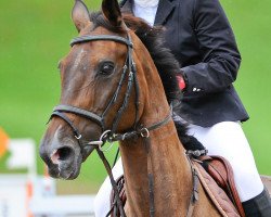 broodmare Lucy Jordan (Holsteiner, 2002, from Lasino)