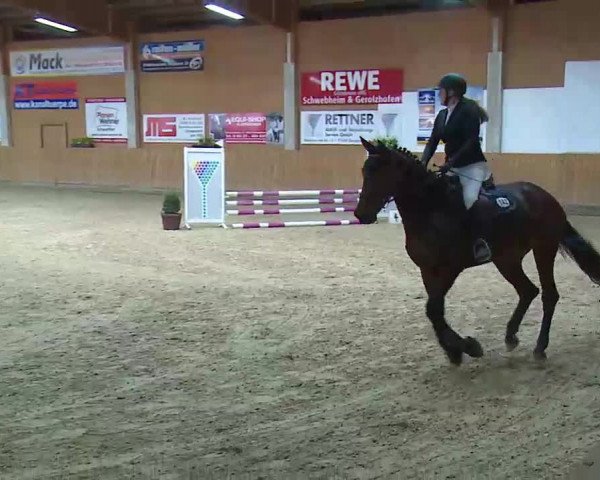Reitturnier Grafenrheinfeld/Ufr. 2022