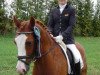 dressage horse Portofino 52 (German Riding Pony, 1995, from Picobello Star)