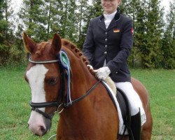 dressage horse Portofino 52 (German Riding Pony, 1995, from Picobello Star)