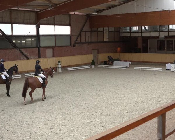 Reitturnier Hamburg-Friedrichshulde/Sylva Kuhrt 2022