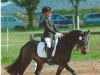 dressage horse Nimbus 57 (German Riding Pony, 2002)