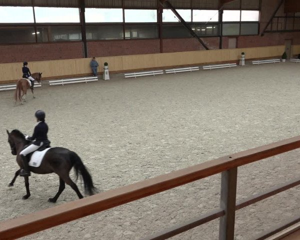 Reitturnier Hamburg-Friedrichshulde/Sylva Kuhrt 2022