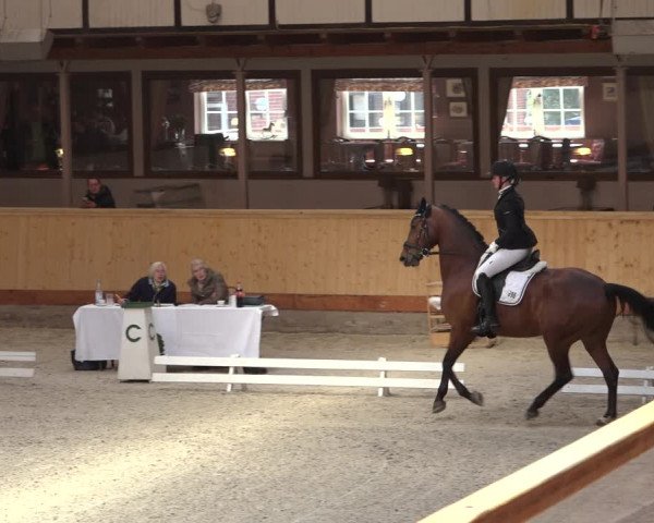 Reitturnier Hamburg-Friedrichshulde/Sylva Kuhrt 2022