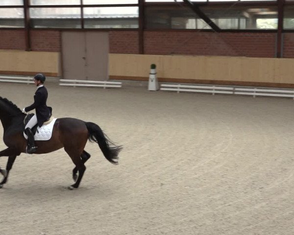 Reitturnier Hamburg-Friedrichshulde/Sylva Kuhrt 2022