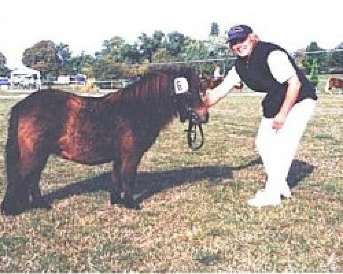 Zuchtstute Regentin von Repgow (Shetland Pony (unter 87 cm), 2003, von Sir Paul)