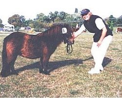 Pferd Regentin von Repgow (Shetland Pony (unter 87 cm), 2003, von Sir Paul)