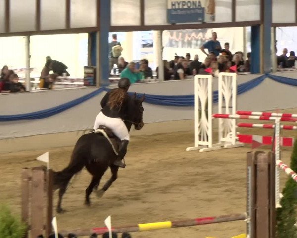 Reitturnier Buchs 2022