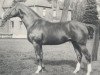 stallion Partisan (Hanoverian, 1965, from Poet xx)