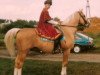 horse Madryt (Great Poland (wielkopolska), 1983, from Oracz)