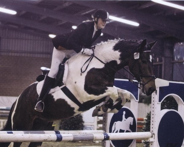 jumper Picasso 658 (Polish Warmblood, 1999)