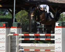 broodmare Franfreluche de Barisy (Belgian Warmblood, 2005, from Eros Platiere)