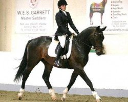 jumper Apollo (KWPN (Royal Dutch Sporthorse), 2005, from King)