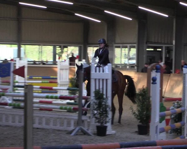 Reitturnier Ahaus 2022