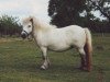 Zuchtstute Horanka von Repgow (Shetland Pony (unter 87 cm), 1995, von Right Rhum van de Hesterhoeve)