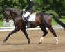 horse Houdini 15 (Hanoverian, 2002, from Hudson)