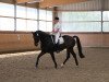 dressage horse Del Augustino (Westphalian, 2001, from Del Piero)