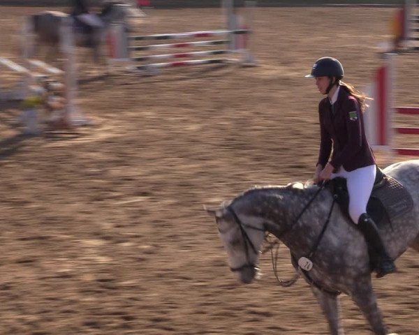 Reitturnier Ströbeck 2022