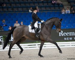 dressage horse Lukas 911 (Bavarian, 2005, from Lagiator)