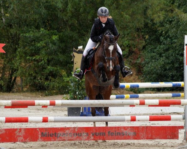 jumper Diva (German Riding Pony, 2004, from Domingo)