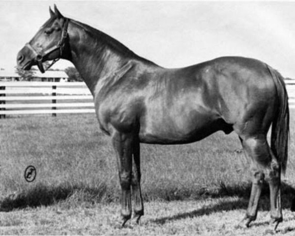 stallion Restless Wind xx (Thoroughbred, 1956, from Windy City II xx)