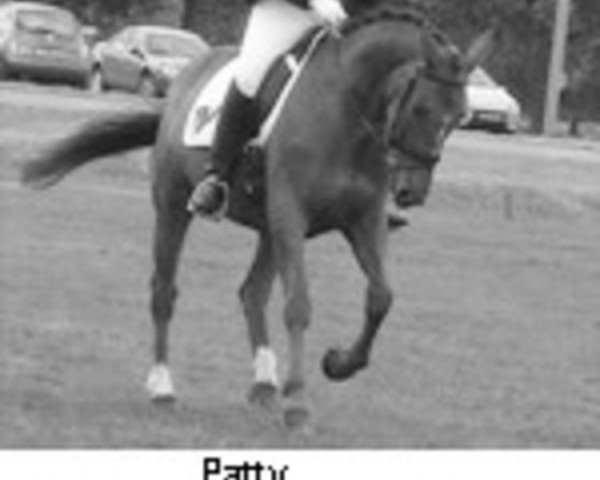 broodmare Patty (KWPN (Royal Dutch Sporthorse), 1976, from Lucky Boy xx)