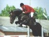 horse Elberton (KWPN (Royal Dutch Sporthorse), 1986, from Nimmerdor)