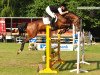 broodmare Ciconia (German Sport Horse, 2005, from Cancoon)