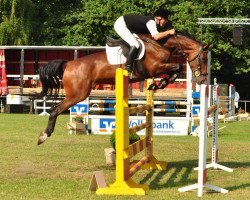 broodmare Ciconia (German Sport Horse, 2005, from Cancoon)